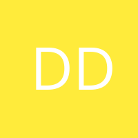D Doris
